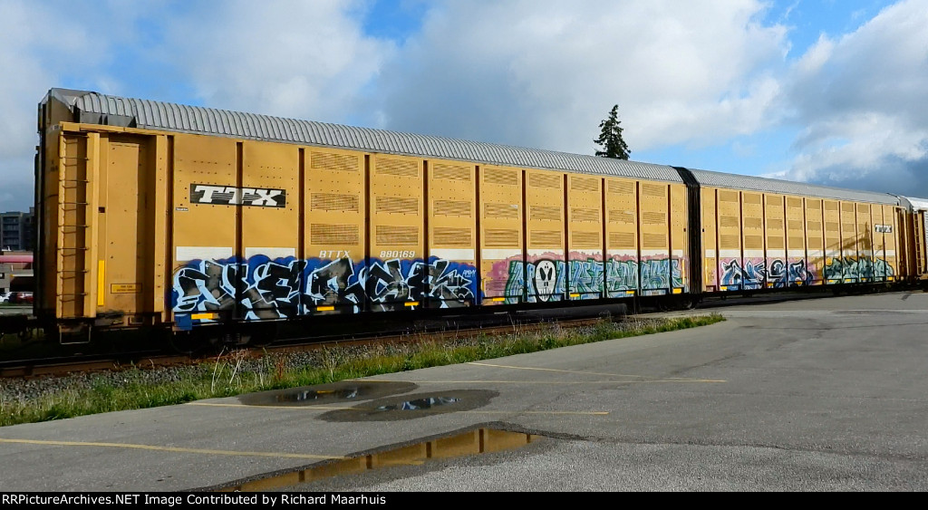 BTTX 88019